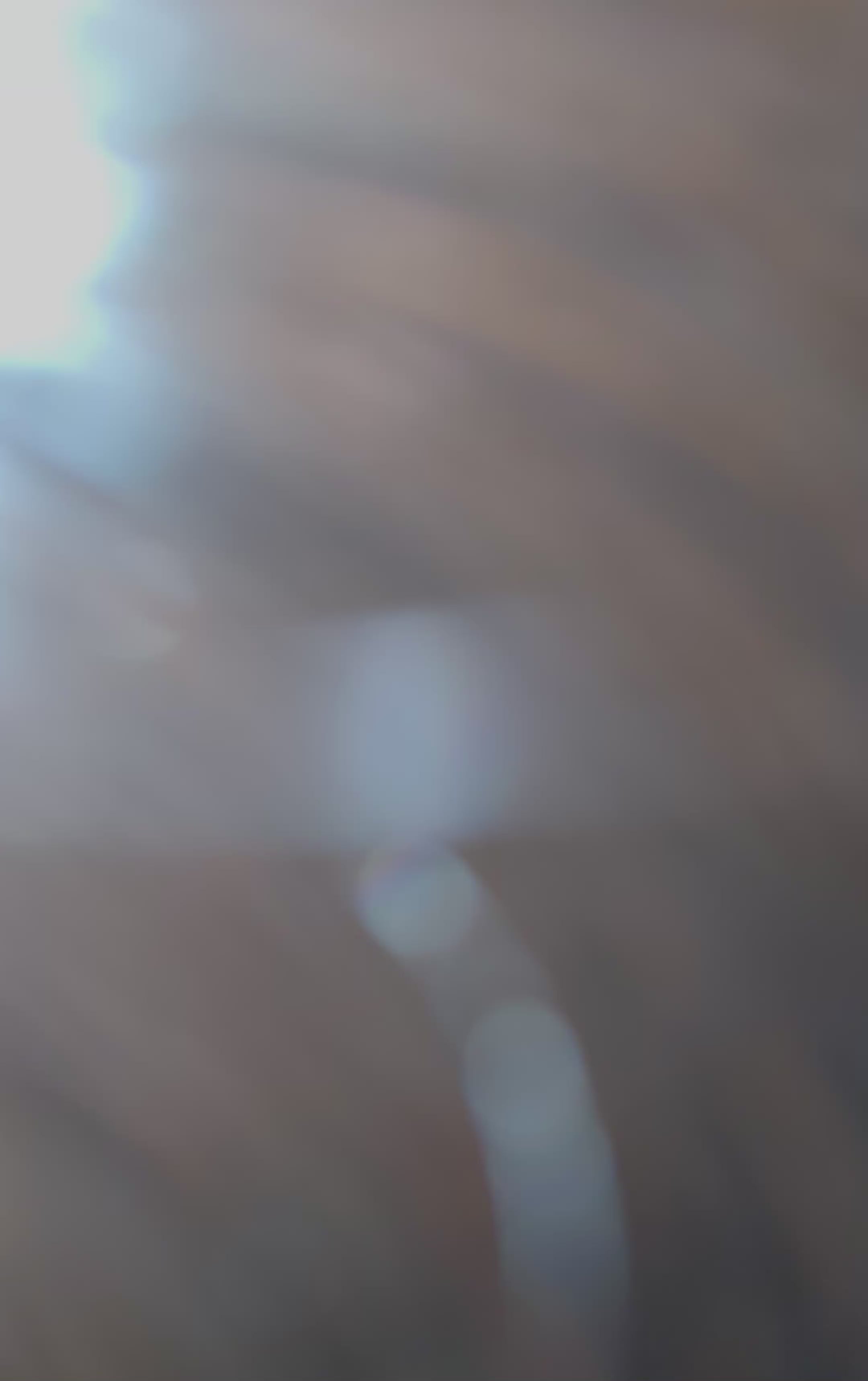 Raw Vietnamese Bundles- Straight